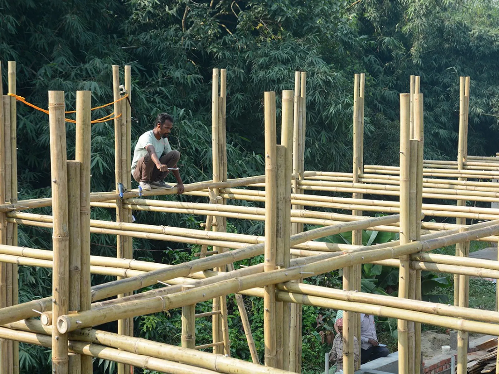 Ein Arbeiter sitzt auf einem Bambusgerüst, das Teil eines Schulbauprojekts in Bahuarwa, Indien, ist. Das Gerüst ist von grüner Vegetation umgeben.