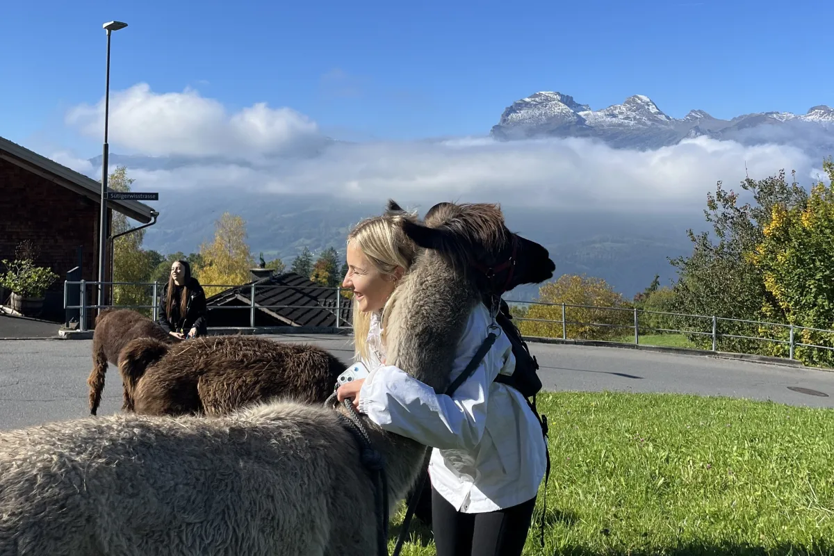Ein Mädchen umarmt ein Alpaka