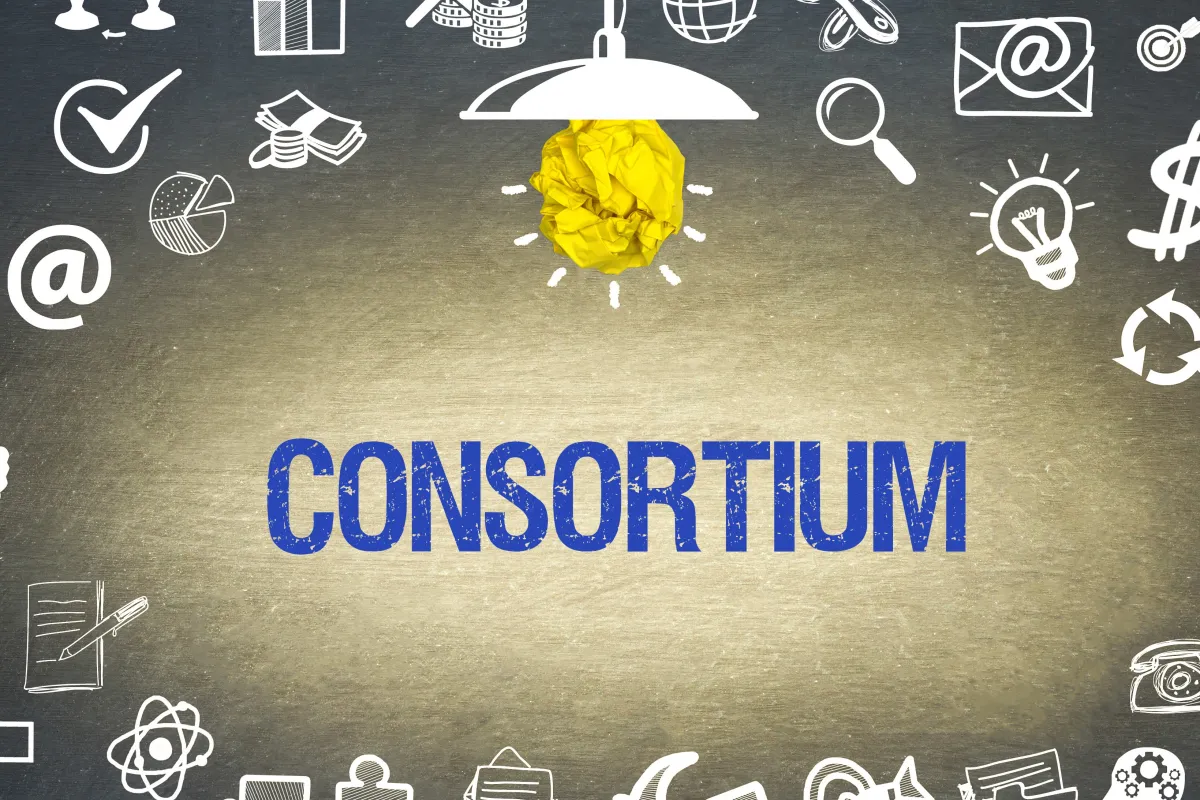 Bibliothek Konsortium No-Deal