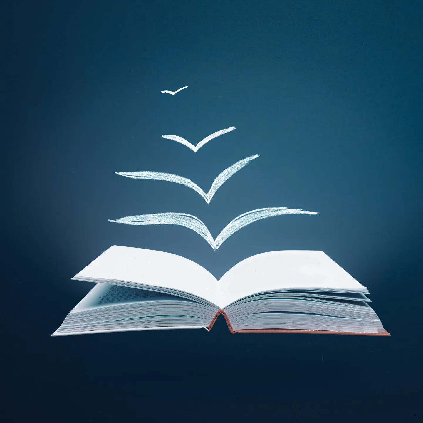 Geöffnetes Buch mit stilisierten fliegenden Seiten in Form von Vögeln auf dunklem Hintergrund, Symbol für Bildung und Freiheit.