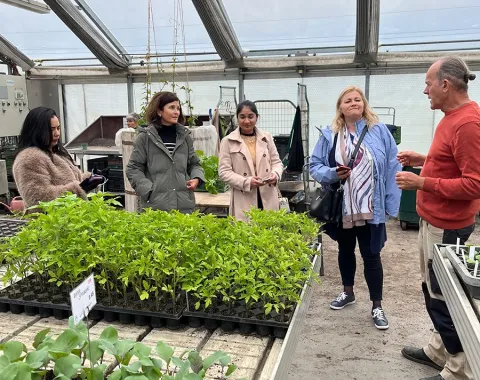 Eine Gruppe von Menschen steht in einem Gewächshaus und unterhält sich. Im Vordergrund sind Pflanzensetzlinge auf Tischen zu sehen.